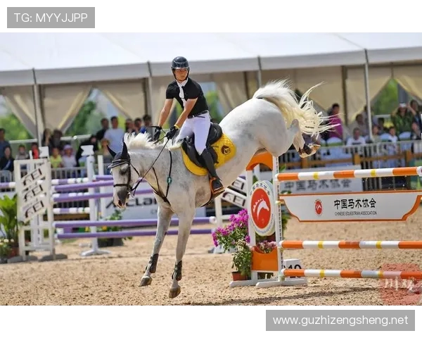 姜志祥勇夺国际马联场地障碍世界杯中国联赛年度总冠军书写历史 姜志祥勇夺国际马联场地障碍世界杯中国联赛年度总冠军书写历史